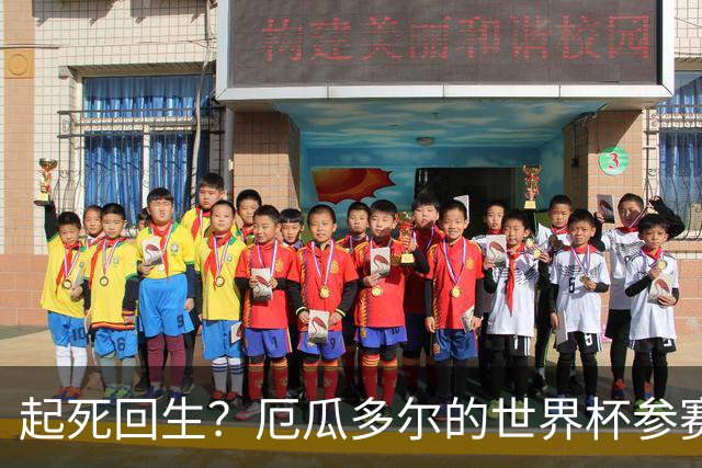起死回生？厄瓜多尔的世界杯参赛名额可能给意大利